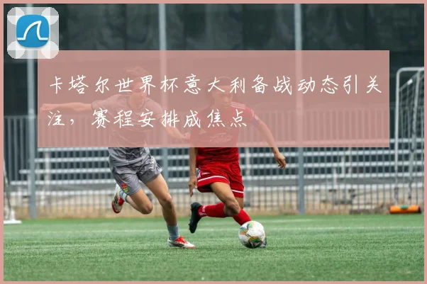 卡塔尔世界杯意大利备战动态引关注，赛程安排成焦点