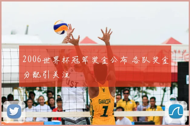 2006世界杯冠军奖金公布 各队奖金分配引关注