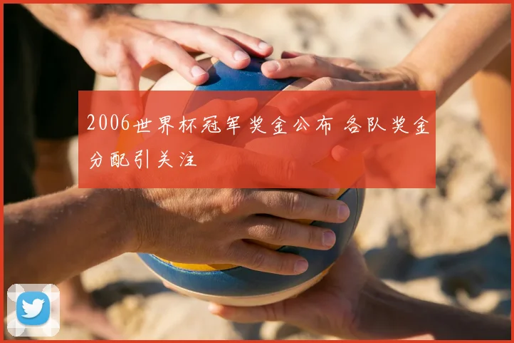 2006世界杯冠军奖金公布 各队奖金分配引关注
