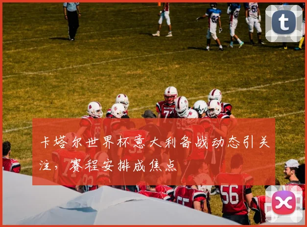 卡塔尔世界杯意大利备战动态引关注,赛程安排成焦点