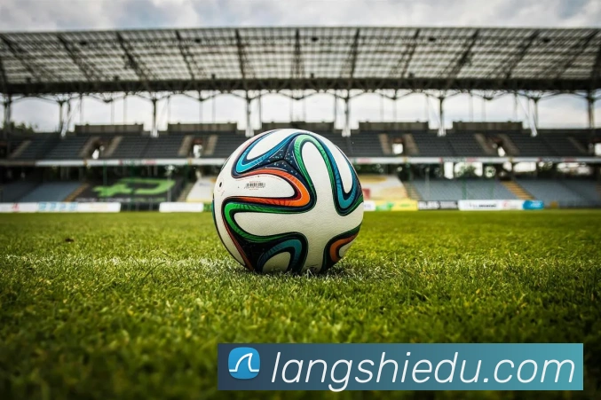 mk体育网址平台生态图